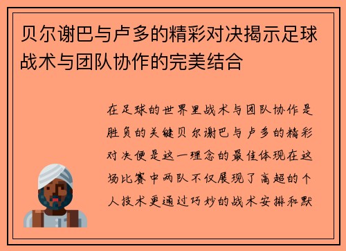 贝尔谢巴与卢多的精彩对决揭示足球战术与团队协作的完美结合