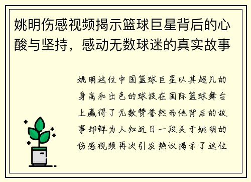 姚明伤感视频揭示篮球巨星背后的心酸与坚持，感动无数球迷的真实故事